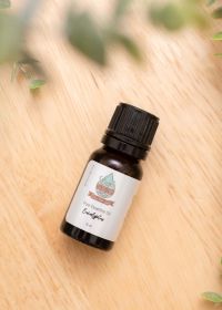 Essential Oil (Scent: Eucalyptus)